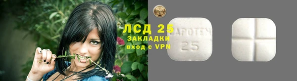 стафф Аркадак