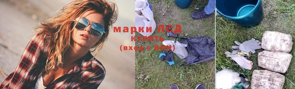 стафф Аркадак