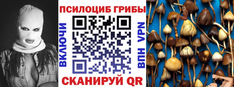 Галлюциногенные грибы Psilocybine cubensis блэк спрут рабочий сайт Островной